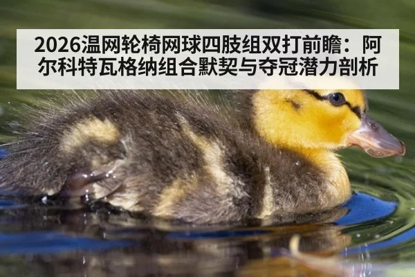 2026温网轮椅网球四肢组双打前瞻：阿尔科特瓦格纳组合默契与夺冠潜力剖析（6686APP）