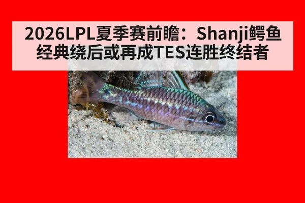 2026LPL夏季赛前瞻：Shanji鳄鱼经典绕后或再成TES连胜终结者