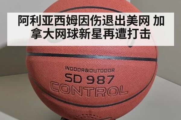 阿利亚西姆因伤退出美网 加拿大网球新星再遭打击 - 6686APP