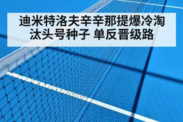 迪米特洛夫辛辛那提爆冷淘汰头号种子 单反晋级路