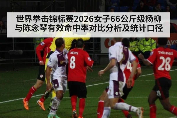 世界拳击锦标赛2026女子66公斤级杨柳与陈念琴有效命中率对比分析及统计口径（6686APP）
